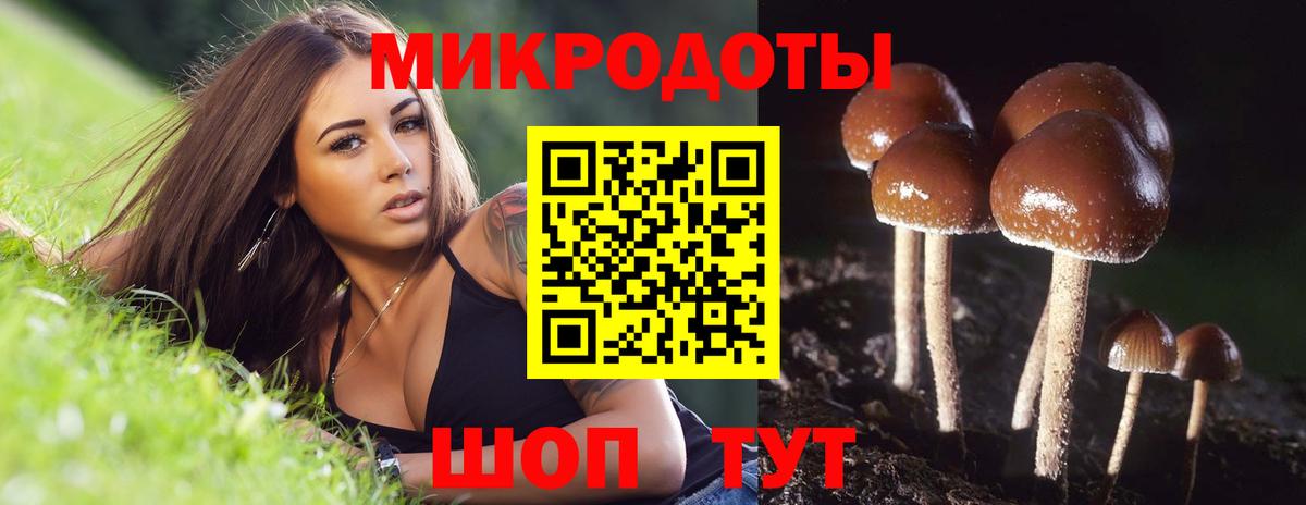 Псилоцибиновые грибы мицелий Выкса